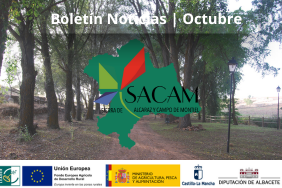 Octubre - Boletín